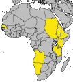 Afrika
