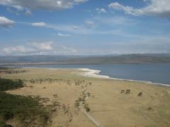 Blick zum Lake Nakuru Blick zum Lake Nakuru