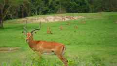 Reise Reise