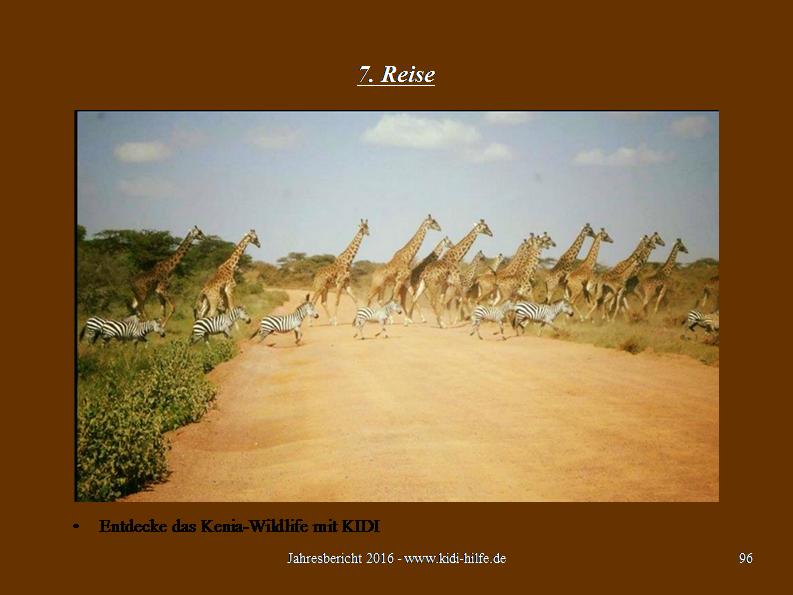 folie96