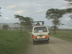 Safari live erleben